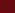 Camellia Red